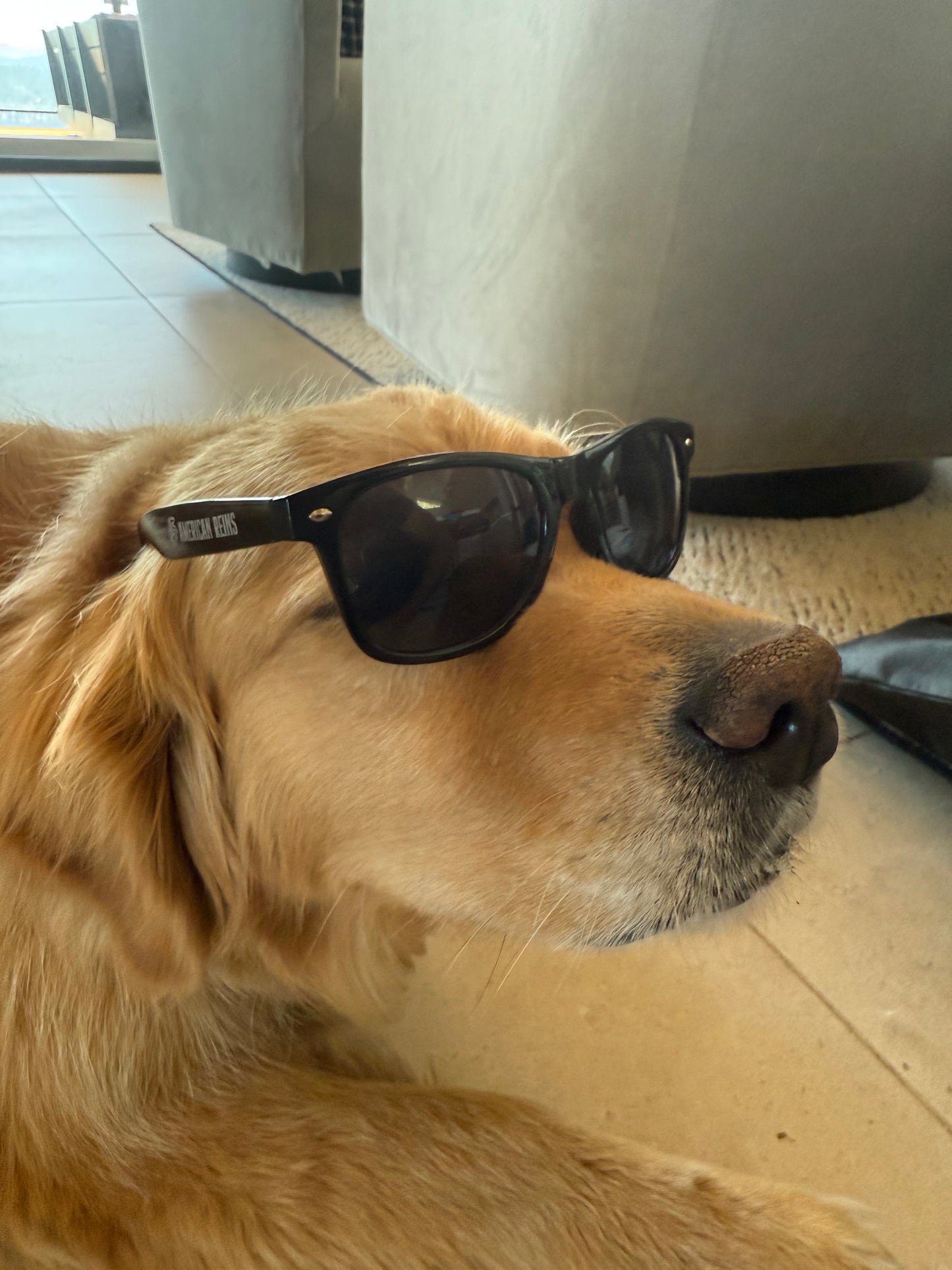 American Reins Unisex Sunglasses